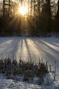 Winter morning sunrise over trees and pond turned into snow field