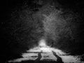 Tracks along a snow covered path in black and white