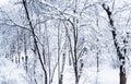 Winter in Moscow. Snow covered trees in the city. The view from