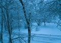 Winter morning in Moscow. Snow covered trees in the city. The vi