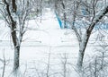 Winter in Moscow. Snow covered trees in the city. The view from