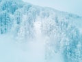 Winter mountain forest in frost Royalty Free Stock Photo