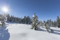 Winter mountain forest landscape on a sunny day in Austria Royalty Free Stock Photo