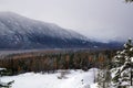 Winter mountain forest scene