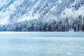 Winter mountain lake with snow-covered pine trees on the shore. Royalty Free Stock Photo