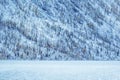 Winter mountain lake with snow-covered pine trees on the shore. Royalty Free Stock Photo