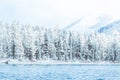 Winter mountain lake with snow-covered pine trees on the shore. Royalty Free Stock Photo