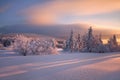 Winter mountain landscape with fog in the Giant Mountains on the Polish and Czech border - Karkonosze National Park. Royalty Free Stock Photo