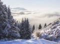 Winter mountain landscape with forest, fresh snow and fog Royalty Free Stock Photo