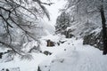 Winter mountain landscape with old woodshed nearby the woodland road