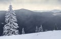 Winter mountain landscape with snow covered pine trees Royalty Free Stock Photo