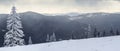 Winter mountain landscape with snow covered pine trees