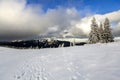 Winter mountain landscape with snow covered pine trees and low c Royalty Free Stock Photo