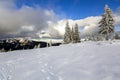 Winter mountain landscape with snow covered pine trees and low c Royalty Free Stock Photo