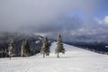 Winter mountain landscape with snow covered pine trees and low c Royalty Free Stock Photo