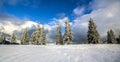 Winter mountain landscape with snow covered pine trees and low c Royalty Free Stock Photo