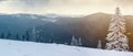 Winter mountain landscape with snow covered pine trees Royalty Free Stock Photo