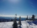 Winter mountain landscape - a snow-white glade, bright sun and snowy fir trees, branches covered with flakes of