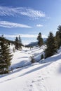 Winter mountain landscape with a stream. Winter and Christmas background.