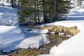 Winter mountain landscape with a stream.