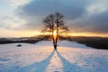 Winter mountain landscape with tree at sunset Royalty Free Stock Photo