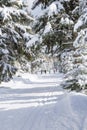 Winter mountain landscape. Trees in forest covered with hoarfrost and snow, skiers on the trail. Royalty Free Stock Photo