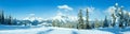 Winter mountain panorama with snowy trees (Filzmoos, Austria)