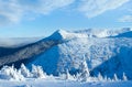 Winter mountain panorama with snowy trees Royalty Free Stock Photo