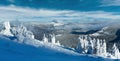 Winter mountain panorama with snowy trees Royalty Free Stock Photo