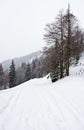 Winter mountain road