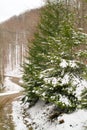 Winter Mountain Road Covered In Snow Royalty Free Stock Photo