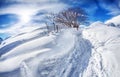 Winter mountain scenery