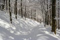 Winter mountain scenery in Bieszczady mountains Royalty Free Stock Photo