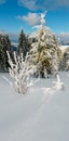 Winter mountain snowy landscape Royalty Free Stock Photo