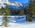 Winter mountain stream. Royalty Free Stock Photo