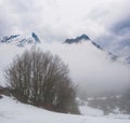 Alone dry tree in a snow on a mount slope Royalty Free Stock Photo