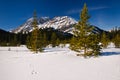 Winter Mountain Views Royalty Free Stock Photo