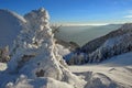 Winter mountain landscape. Snow at high altitude - Ciucas Mountains, landmark attraction in Romania Royalty Free Stock Photo