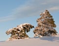 Winter in mountains Royalty Free Stock Photo
