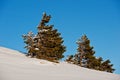Winter in mountains Royalty Free Stock Photo