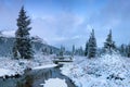 Winter in the mountains Bow Lake Banff National Park Alberta Canada First snow in the forest. Beautiful christmas Royalty Free Stock Photo
