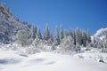 Winter with mountains and firtrees in snow Royalty Free Stock Photo