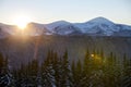 Winter mountains landscape panorama at sunrise. Clear blue sky over dark spruce pine trees forest, covered with snow mountain Royalty Free Stock Photo