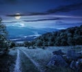 Winter in mountains meets spring in valley at night Royalty Free Stock Photo