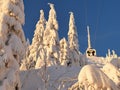 Snowy frosted trees and cable car.