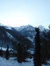 Winter in the mountains, snow-covered trees Royalty Free Stock Photo