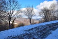 Winter mountains tree snowy landscape