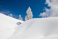 Winter on Mt Seymour Royalty Free Stock Photo