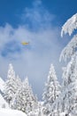 Winter on Mt Seymour Royalty Free Stock Photo