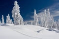 Winter on Mt Seymour Royalty Free Stock Photo